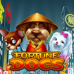 WEPLAYPG HB slot Fortune Dogs