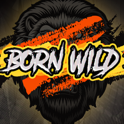 WEPLAYPG HS slot Born Wild