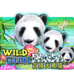 WEPLAYPG JK slot Wild Giant Panda