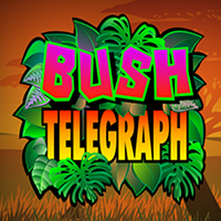 WEPLAYPG MG slot Bush Telegraph