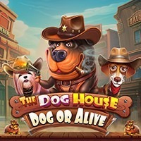 WEPLAYPG PP slot The Dog House – Dog or Alive