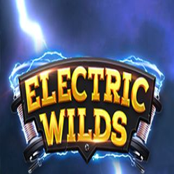 WEPLAYPG RELAX slot Electric Wilds